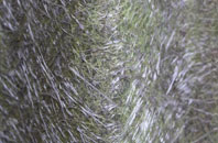 Speldhurst fibreglass roof work